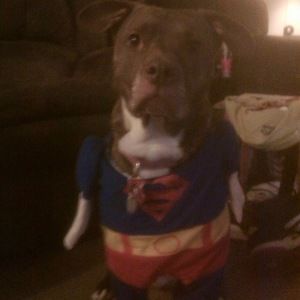 Meet your Posher, Crystal